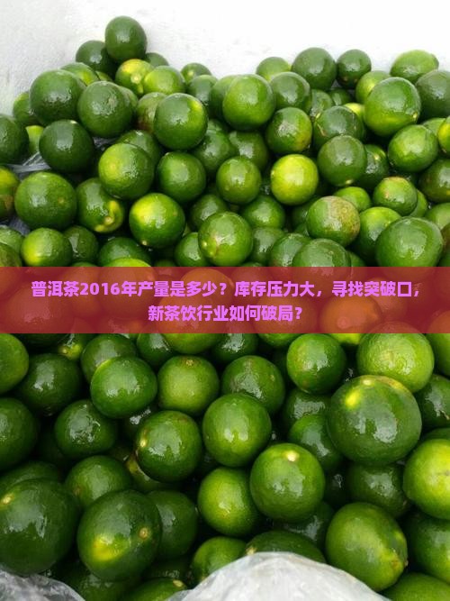 普洱茶2016年产量