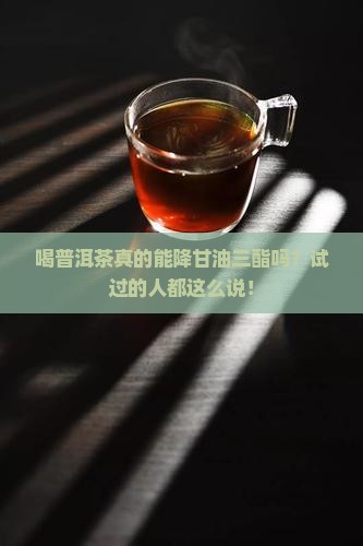普洱茶降甘油苷脂