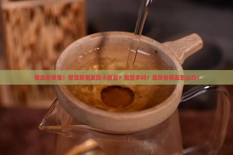 普洱茶中的小豆豆