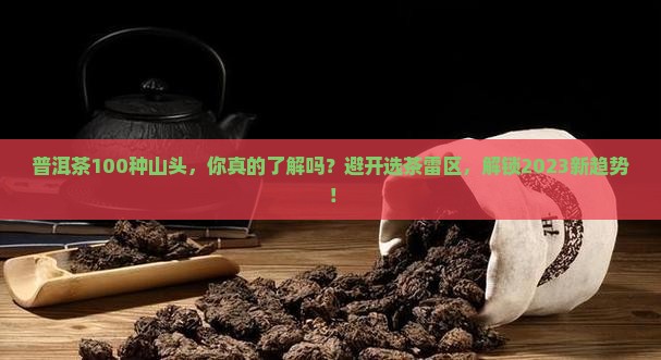 普洱茶100种山头