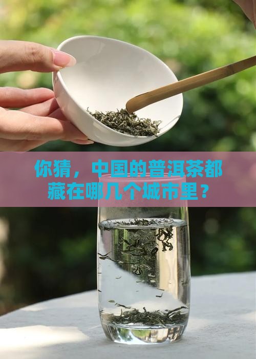 中国有哪些普洱茶城市分布