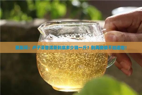 卢子溪普洱茶价格查询