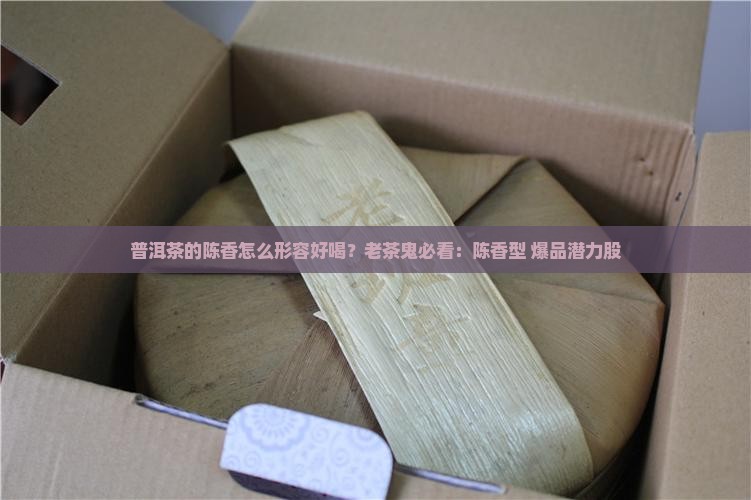 普洱茶的陈香怎么形容好喝