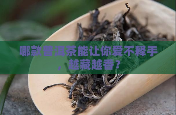 什么普洱茶值得购买藏呢