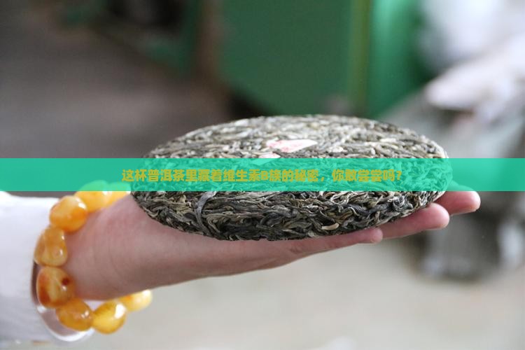 维生素b族普洱茶