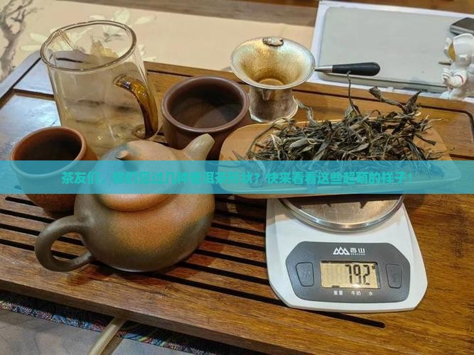 普洱茶所有形状的样子