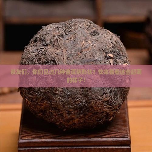 普洱茶所有形状的样子