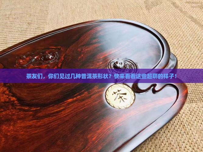 普洱茶所有形状的样子
