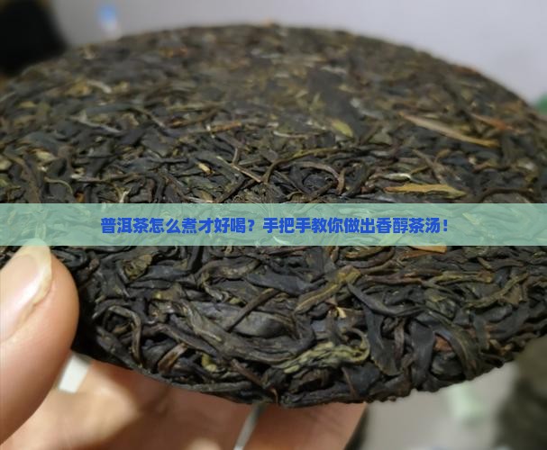 如何烹制普洱茶
