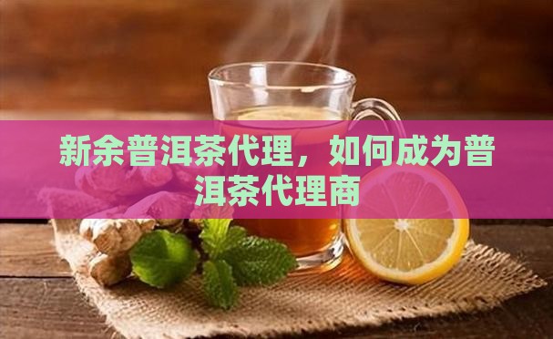 新余熟普洱茶怎么代理