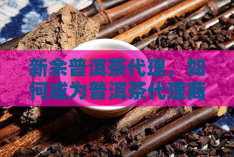 新余熟普洱茶怎么代理