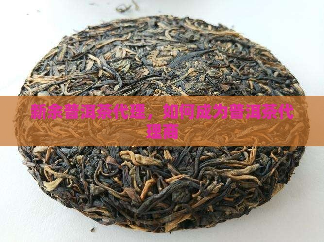 新余熟普洱茶怎么代理