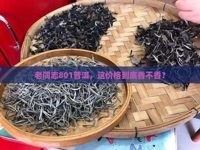 老同志801普洱茶价格