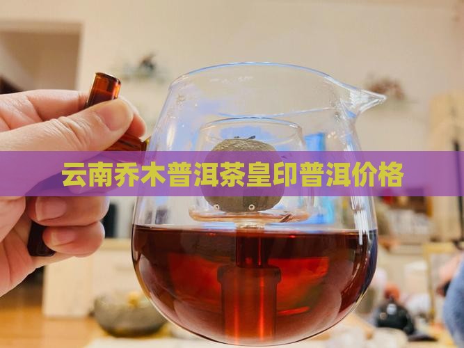 皇印古乔木普洱茶
