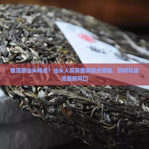 普洱茶汕头特点