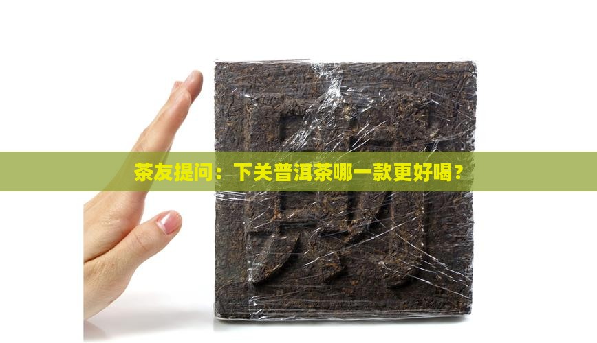 下关普洱茶哪种好