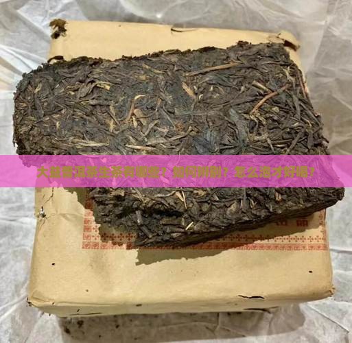 大益普洱茶生茶有哪些 大益普洱茶生茶有哪些