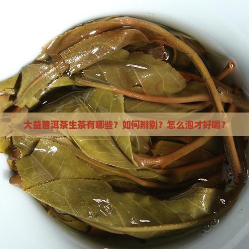大益普洱茶生茶有哪些 大益普洱茶生茶有哪些
