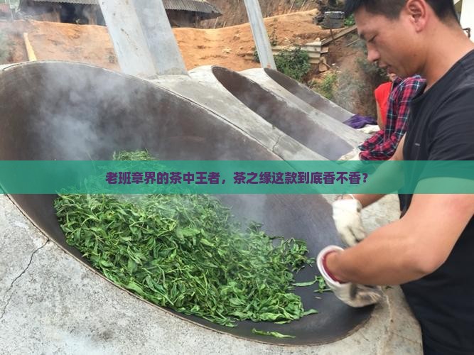 茶之缘出品的老班章好吗