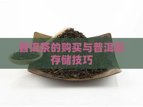 普洱茶可以购买藏比较好
