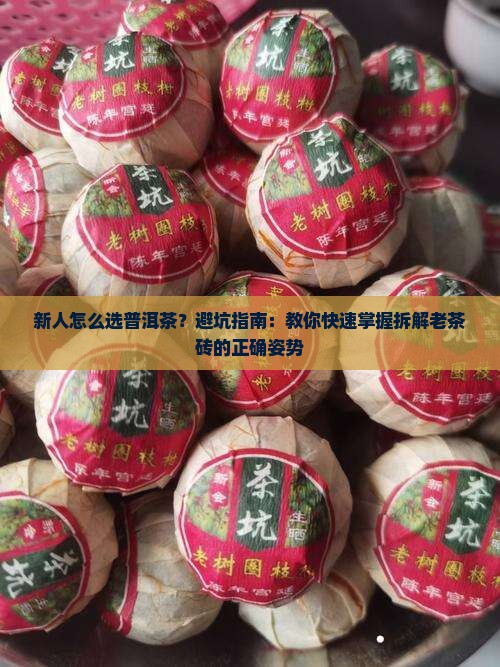 新人怎么选普洱茶