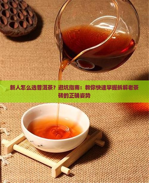 新人怎么选普洱茶