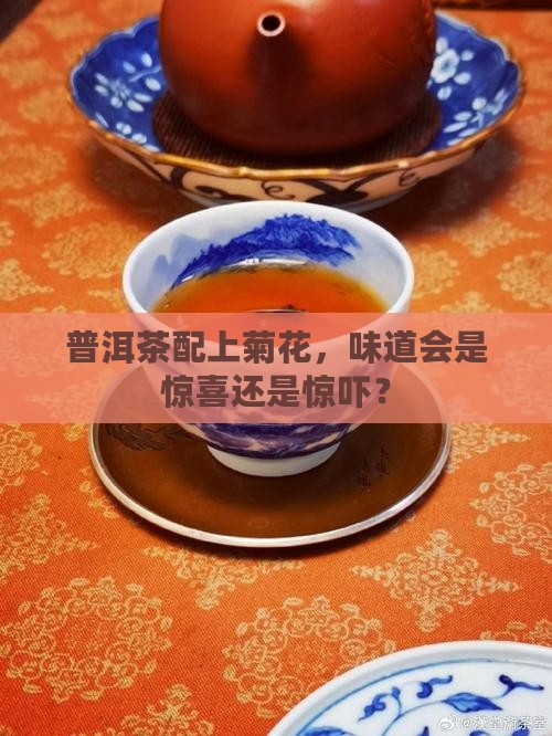 普洱茶能和菊花一起泡水吗