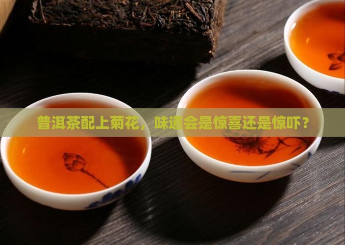 普洱茶能和菊花一起泡水吗