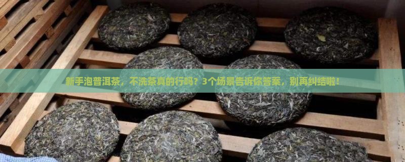 普洱茶不洗茶行吗