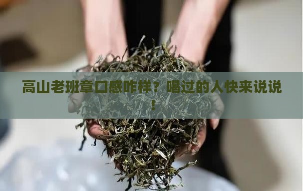 高山老班章怎么样