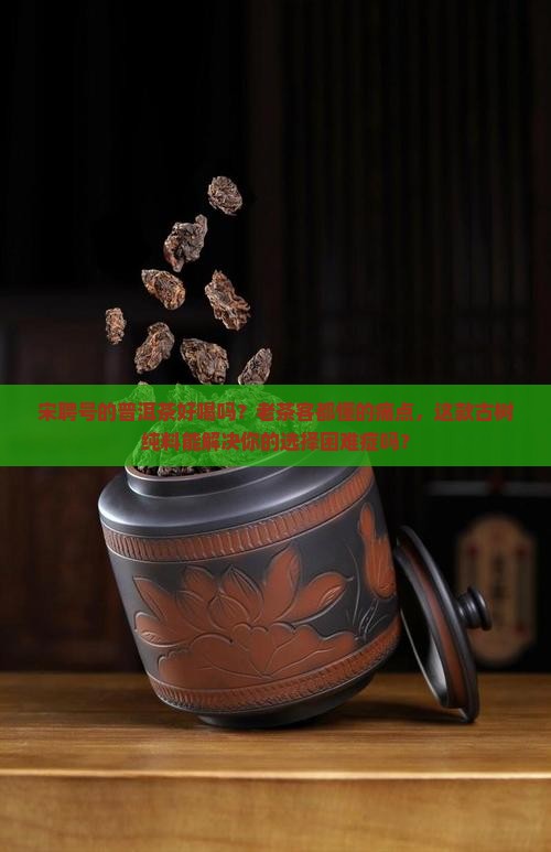 宋聘号的普洱茶好喝吗