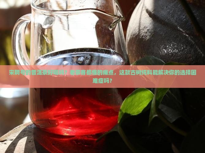 宋聘号的普洱茶好喝吗