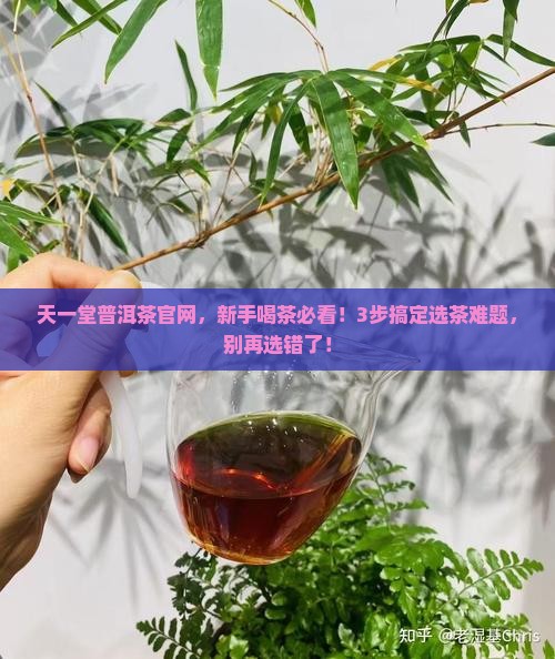 天一堂普洱茶官网