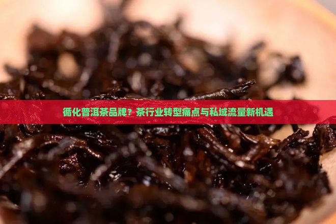 循化普洱茶品牌