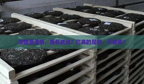 法国普洱茶是药不是茶