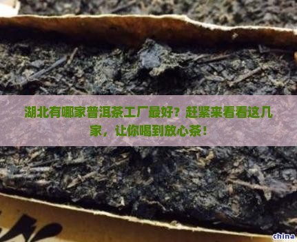 湖北普洱茶工厂有哪些