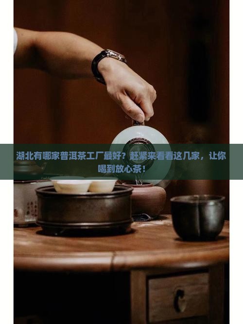 湖北普洱茶工厂有哪些