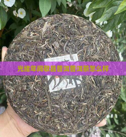 昆明敬昌号普洱茶怎么样