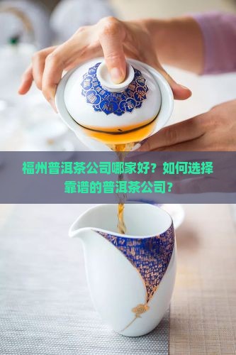 福州普洱茶公司