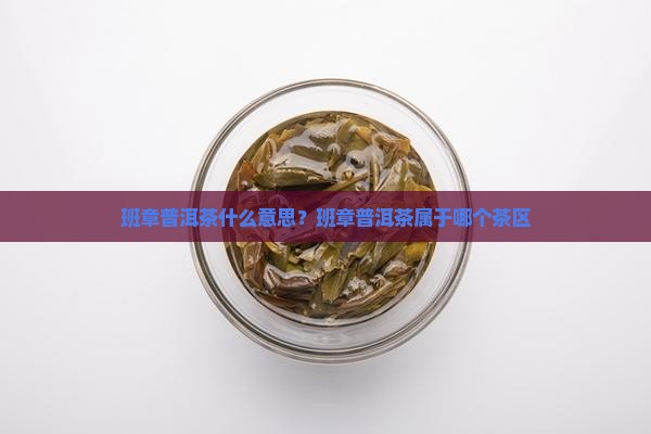 班章普洱茶什么意思
