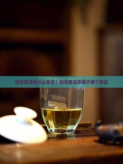 班章普洱茶什么意思