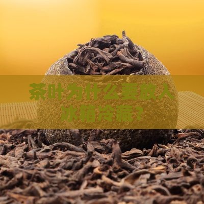 好的茶叶为什么要放冰箱里