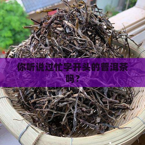 忙字开头的普洱茶