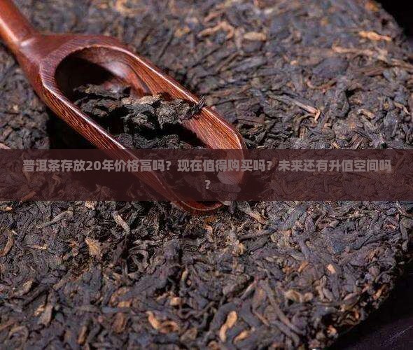 普洱茶20年的贵不贵