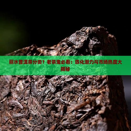 丽水普洱茶分类