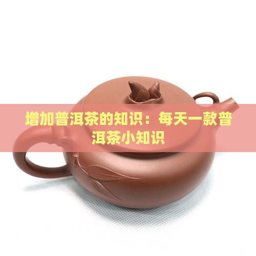 增加普洱茶的知识