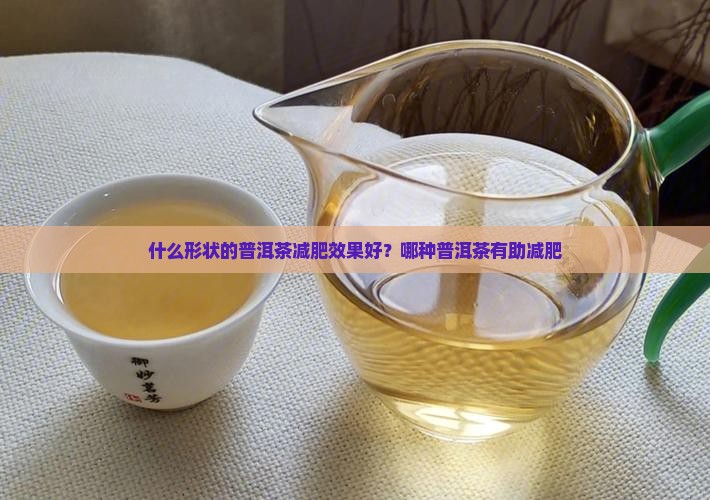 什么形状的普洱茶减肥