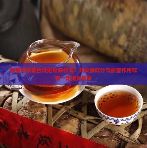 喝普洱茶能促进新陈代谢吗