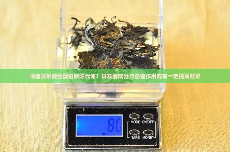喝普洱茶能促进新陈代谢吗