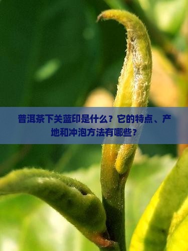 普洱茶下关蓝印 普洱茶下关蓝印